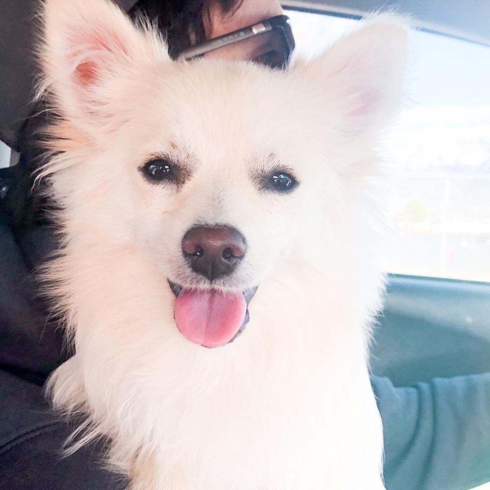 Meet your Posher, Rebecca